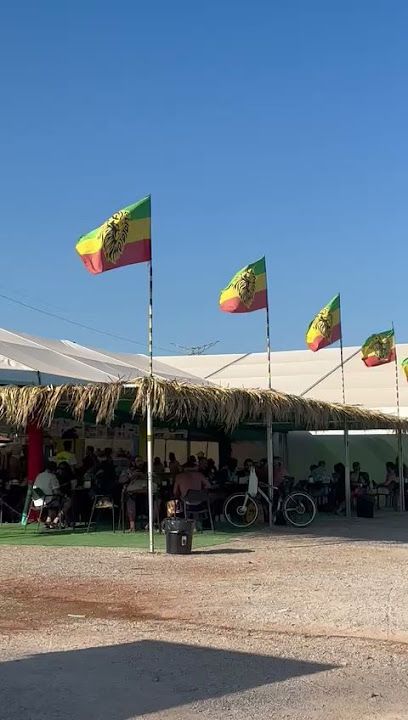 CAMPFEST (Camping del FIB)